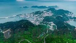 114足球比分直播-114足球比分直播，球迷的实时观赛新选择