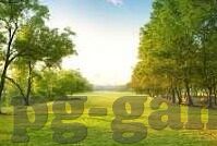 竞猜足球比分直播新-竞猜足球比分直播新玩法，科技赋能，让观赛体验全面升级！