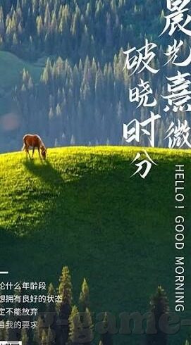 足球90 比分-足球90分钟，比分背后的热血与梦想