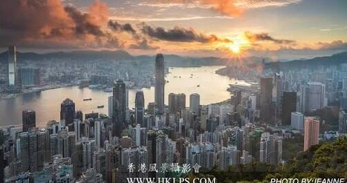 足球即時比分網-探秘足球即时比分网,绿茵场的数字心跳与球迷的狂欢盛宴